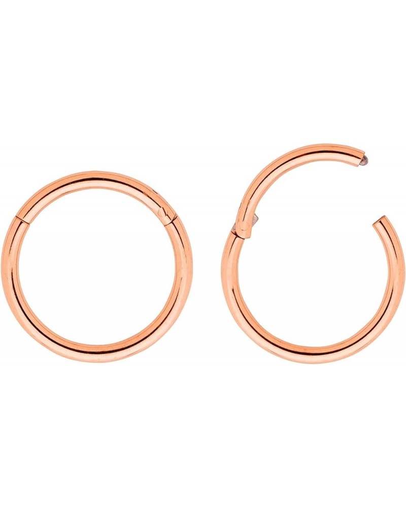 2PCS 16G Surgical Steel 6mm - 16mm Hinged Hoop Segment Septum Cartilage Helix Tragus Nose Ring Unisex Sleeper Earrings 12mm R...