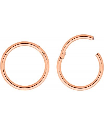 2PCS 16G Surgical Steel 6mm - 16mm Hinged Hoop Segment Septum Cartilage Helix Tragus Nose Ring Unisex Sleeper Earrings 12mm R...