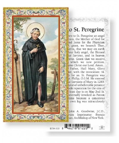 St. Peregrine Chaplet Made with Gemstone, Austrian Crystals or Wood (Patron Saint of Cancer Patients) - St Peregrine Holy Car...