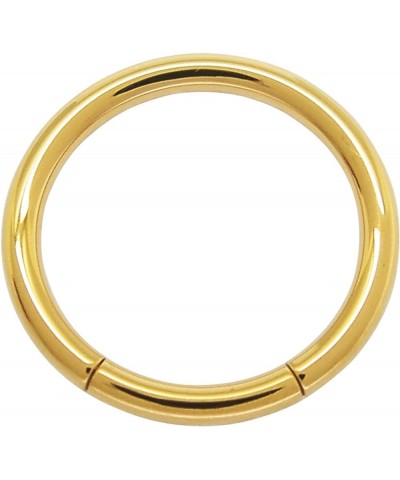 IP Gold plated stainless steel body piercing jewelry segment ring 1.2mm x 10mm $11.27 Body Jewelry