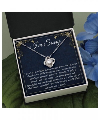 I'm Sorry Gifts For Her, Sorry Gift, Apology Card, Apology Necklace, Forgive Me Jewelry, Sorry Partner Stainless Sterling Sil...