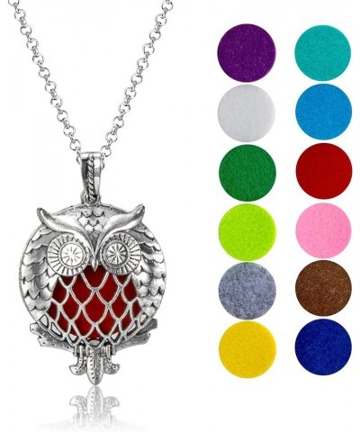 Wild Essentials Celtic Cross Essential Oil Diffuser Nickel Free Alloy Locket Pendant with 24 inch Chain, 6 Refill Pads, Custo...