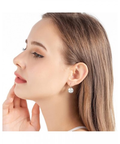 Austrian Crystal Round Drop Earrings for Women 14K Gold Plated Hypoallergenic Leverback Hoop Earrings White $11.52 Earrings