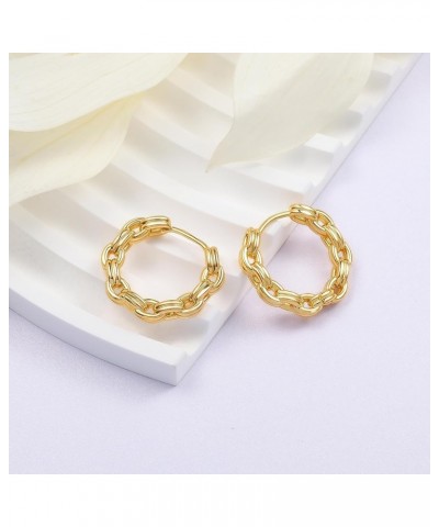 Gold Earrings for Women Girls,14K Gold Plated Lightweight Gold Hoop Earrings Hypoallergenic Earrings for Women Trendy Fashion...