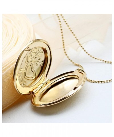 Stainless Steel Heart Infinity Tree Flower Oval Shaped Locket Album Statement Holiday Mother's Day Pendant Necklace Gold $5.0...