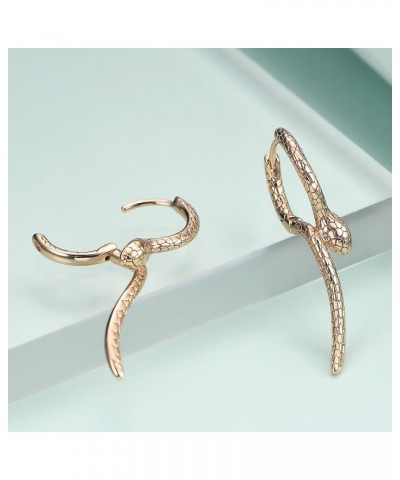 Snake Earrings for Women Animal Earrings Punk Pierced Snake Earrings for Women… 18K Gold4 $10.25 Earrings